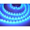 LED pásek 12W, 60 LED, Nezalitý IP 20 - Modrá