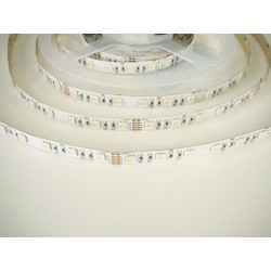 24V RGBW4v1-DW 19,2W vnitřní LED pásek záruka 3 roky - RGBW