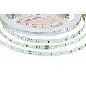 LED pásek 24V HQ 60LED 4.8W vnitřní - Studená bílá