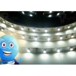 LED pásek 4.8W, 60 LED, Nezalitý IP 20 - Studená bílá