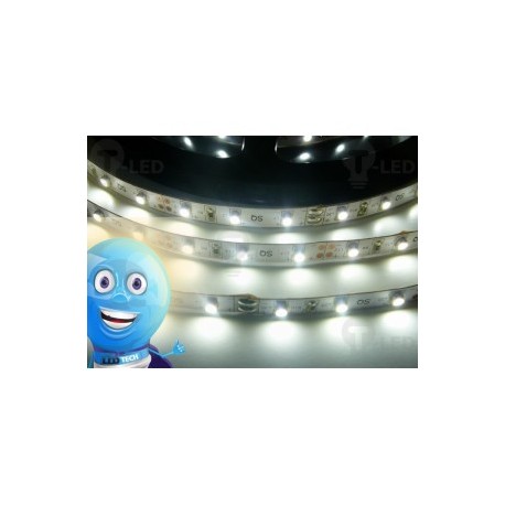 LED pásek 4.8W, 60 LED, Nezalitý IP 20 - Studená bílá