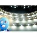 LED pásek 4.8W, 60 LED, Nezalitý IP 20 - Studená bílá