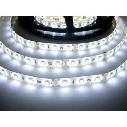 LED pásek 4.8W, 60 LED, Zalitý IP 50 - Studená bílá