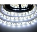 LED pásek 4.8W, 60 LED, Zalitý IP 50 - Studená bílá