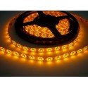 LED pásek 4.8W, 60 LED, Zalitý IP 50 - Žlutý