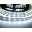 LED pásek 12W, 60 LED, Nezalitý IP 20 - Studená bílá