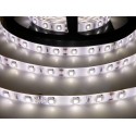 LED pásek 12W, 60 LED, Zalitý IP 50 - Denní bílá