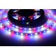 LED pásik 12AKVA 6012-WBR pre akvária - RGB