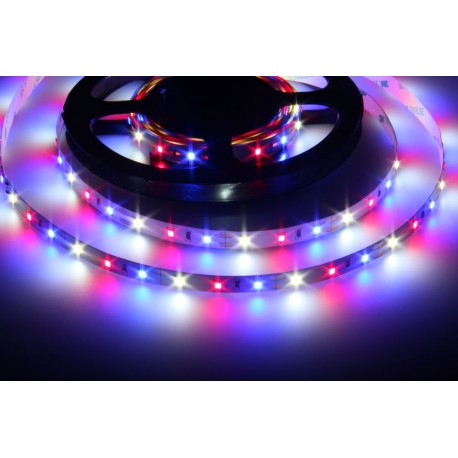 LED pásek 12V AKVA 60 LED 12W pro akvária - RBW