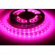 LED pásek 12V GROW 60 LED 12W-FULL spektrum pro rostliny