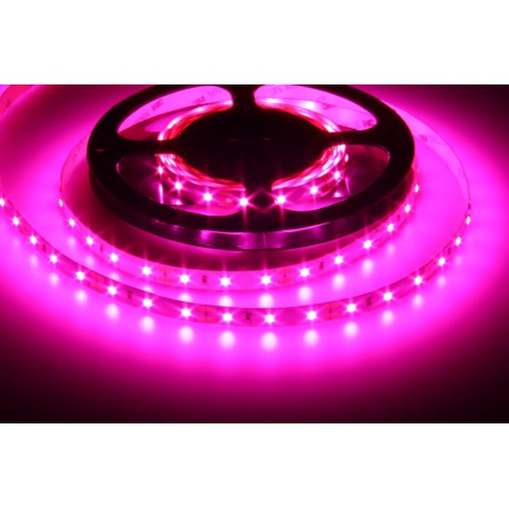 LED pásek 12V GROW 60 LED 12W-FULL spektrum pro rostliny