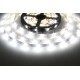 LED pásek 12LENS 2818 - Studená bílá