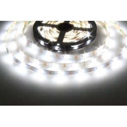 LED pásek 12LENS 2818 - Studená bílá